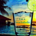 blog logo of Beachaholic